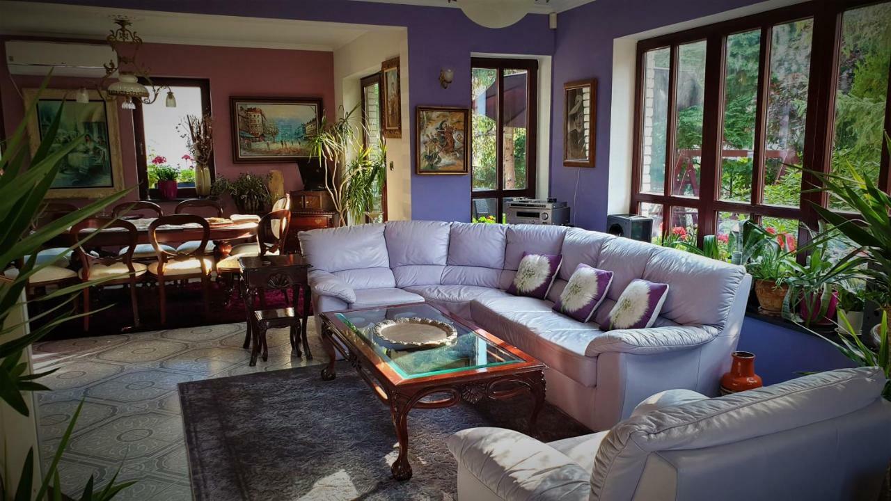 Luxury House Villa